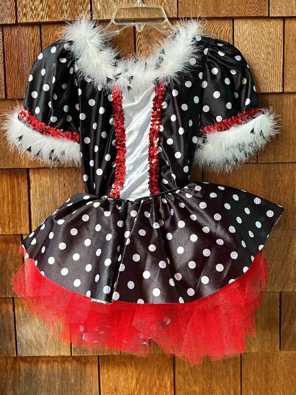 Like New Minnie Mouse Polka Dot Inspired Ballet Dress in Kids Large